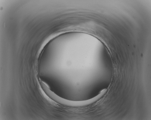 X0000083661531200703051739