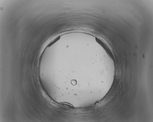 X0000083661532200703051739