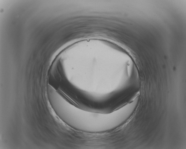 X0000083661534200703051739