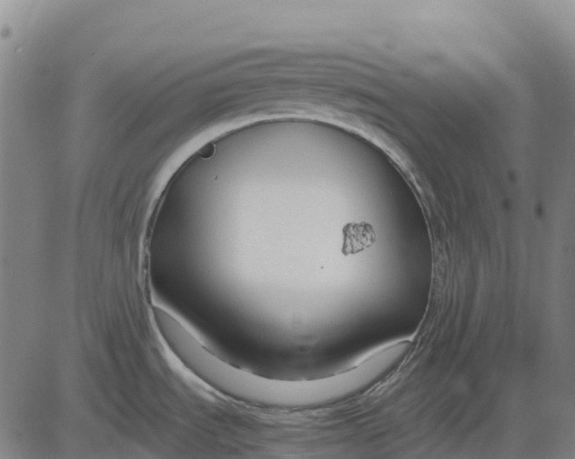 X0000083661535200703051739