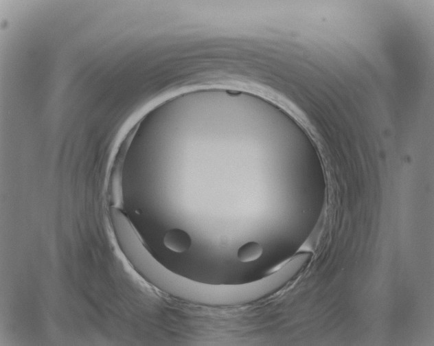 X0000083661536200703051739