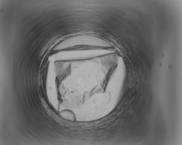 X0000083660002200703121823