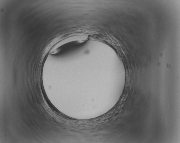 X0000083660003200703121823