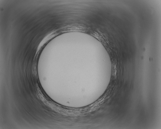 X0000083660004200703121823