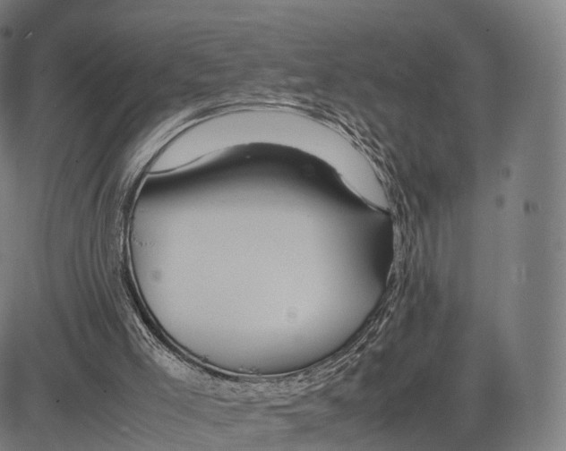 X0000083660005200703121823