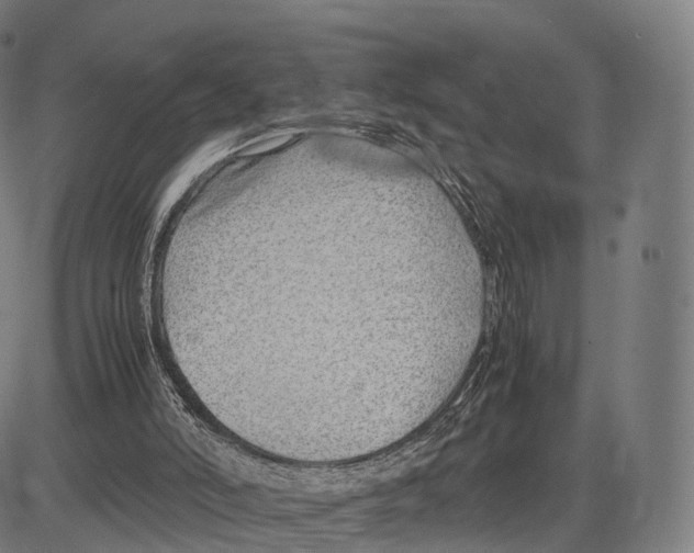 X0000083660006200703121823