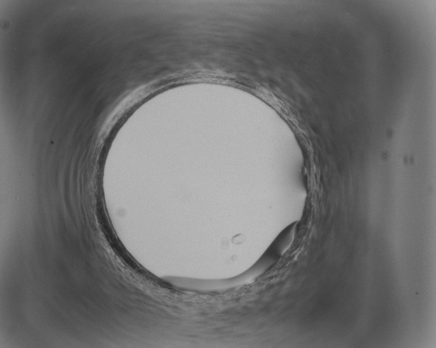 X0000083660007200703121823