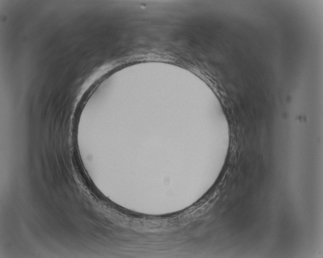 X0000083660008200703121823