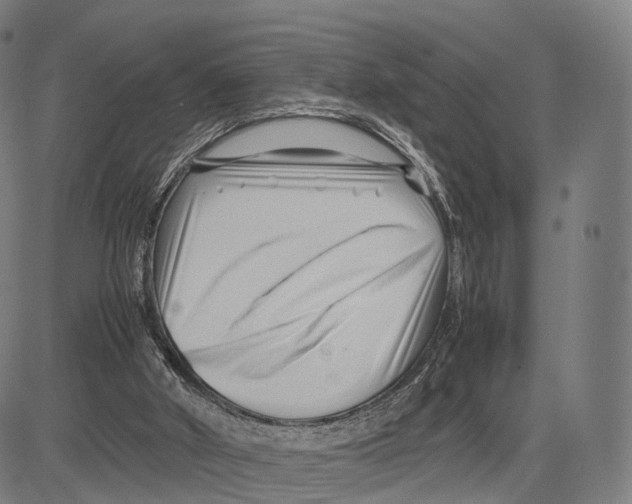 X0000083660010200703121823