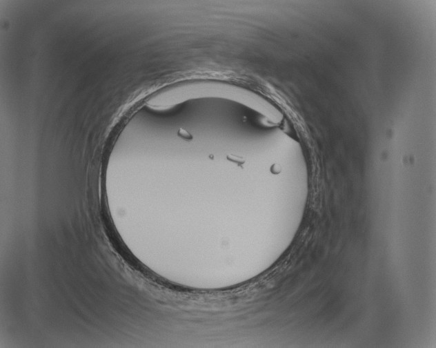 X0000083660011200703121823