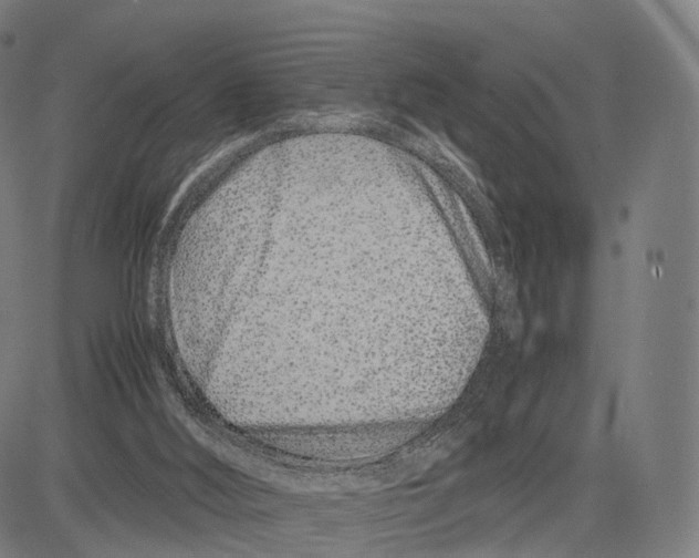 X0000083660012200703121823