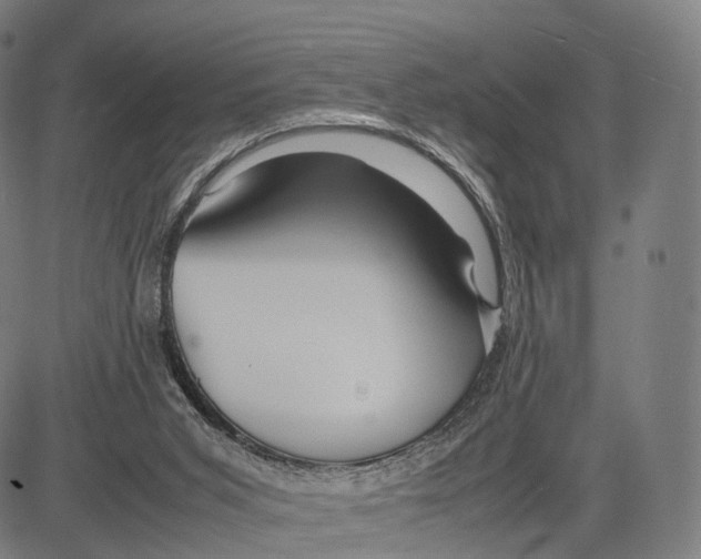 X0000083660015200703121823