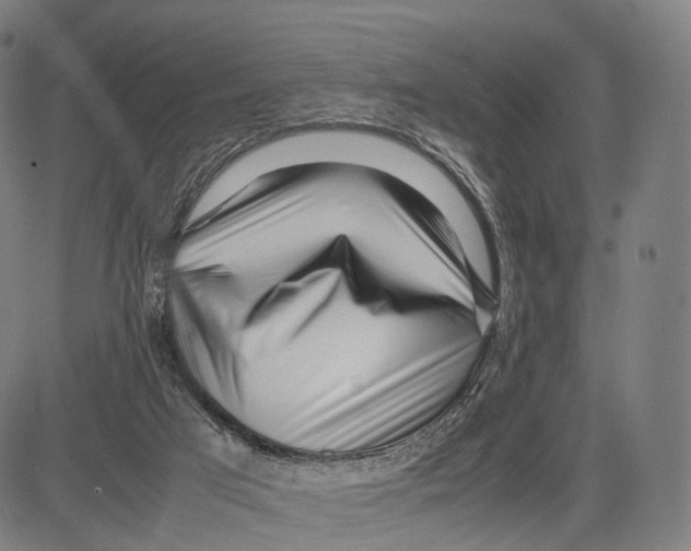 X0000083660017200703121823