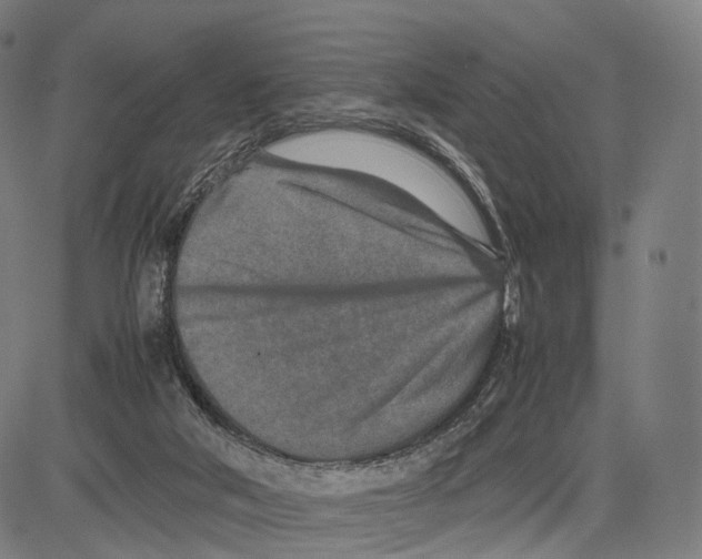 X0000083660018200703121823