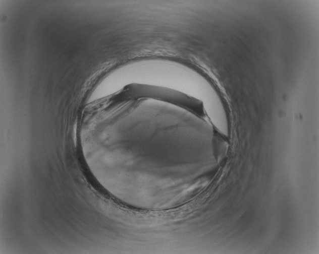 X0000083660019200703121823