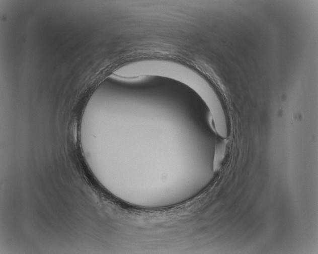 X0000083660021200703121823