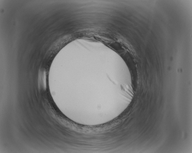 X0000083660022200703121823