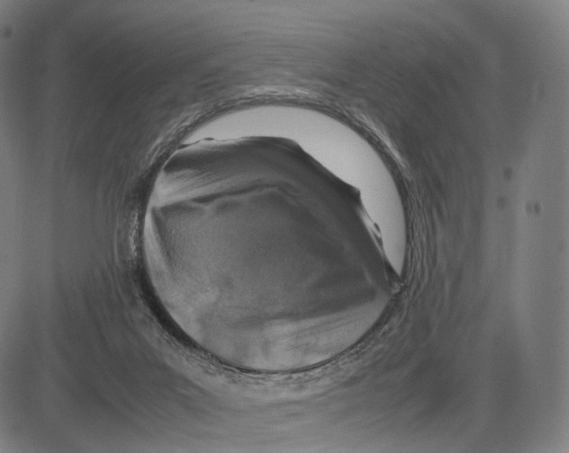 X0000083660023200703121823