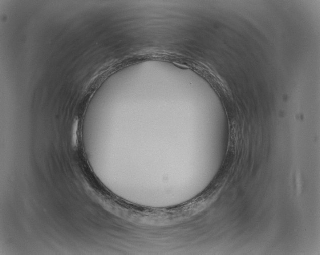 X0000083660024200703121823