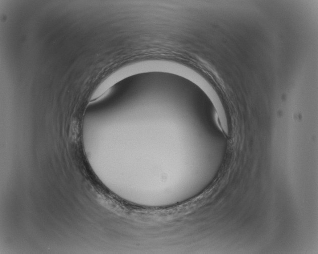 X0000083660025200703121823