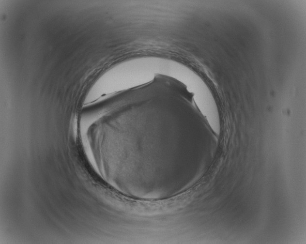 X0000083660027200703121823