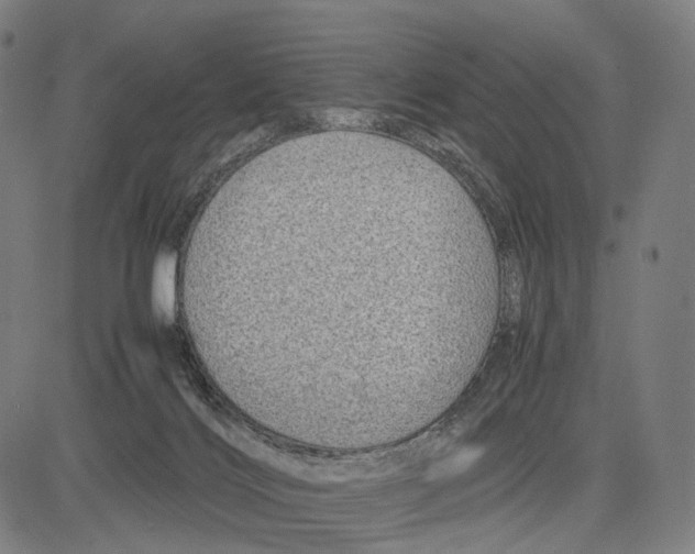 X0000083660028200703121823