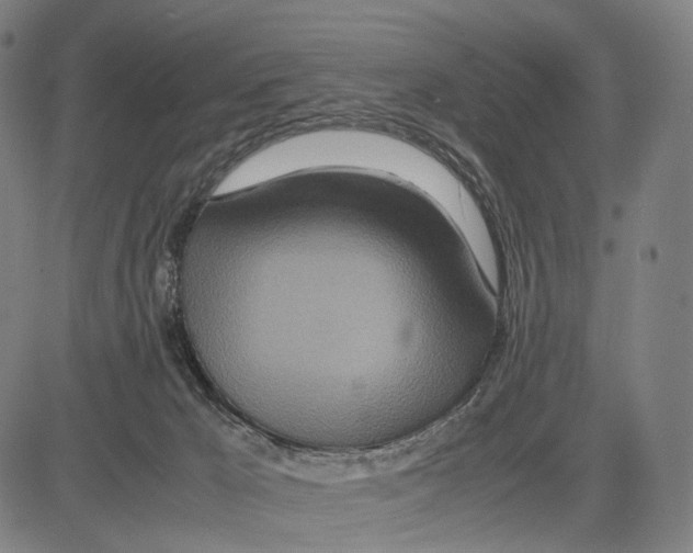 X0000083660029200703121823