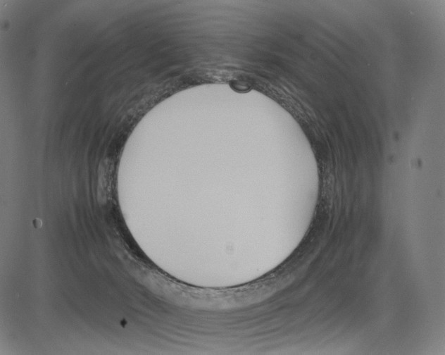 X0000083660030200703121823