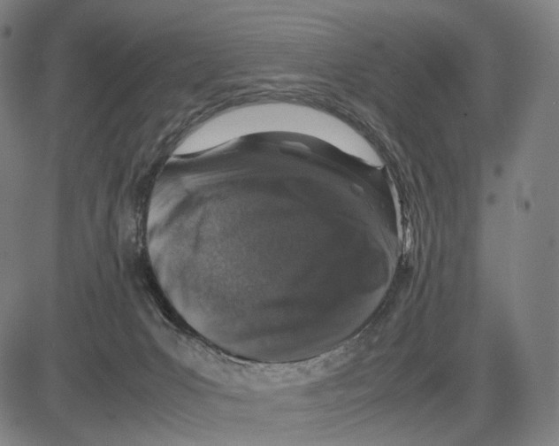 X0000083660031200703121823