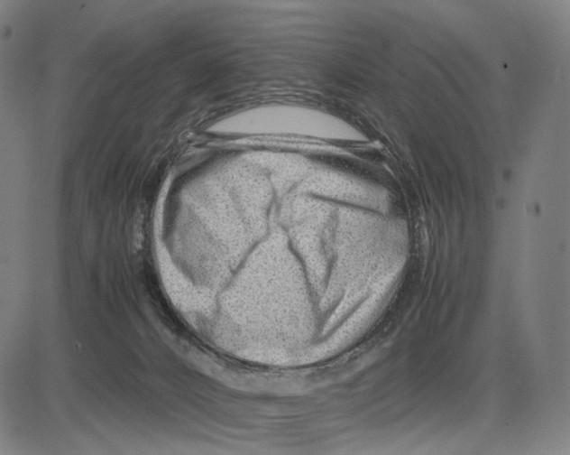 X0000083660032200703121823