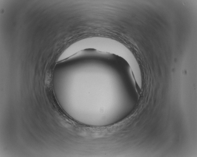 X0000083660033200703121823