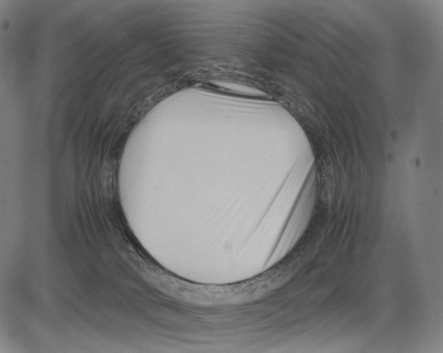 X0000083660034200703121823