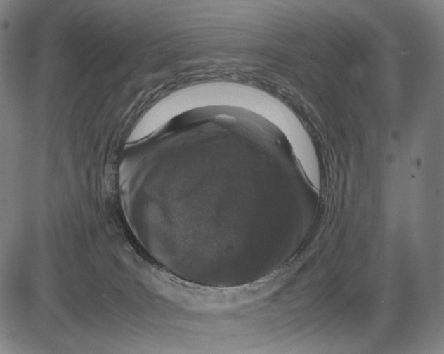 X0000083660035200703121823