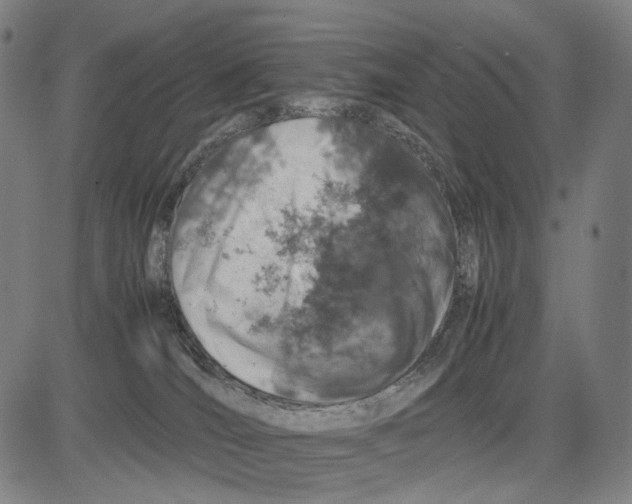 X0000083660036200703121823