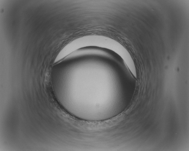 X0000083660037200703121823