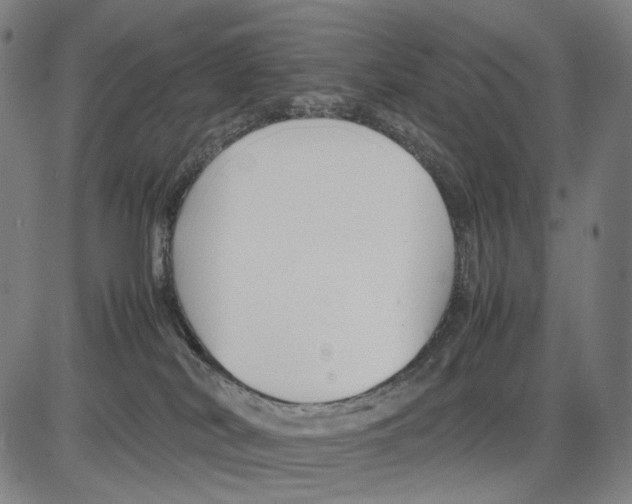 X0000083660038200703121823