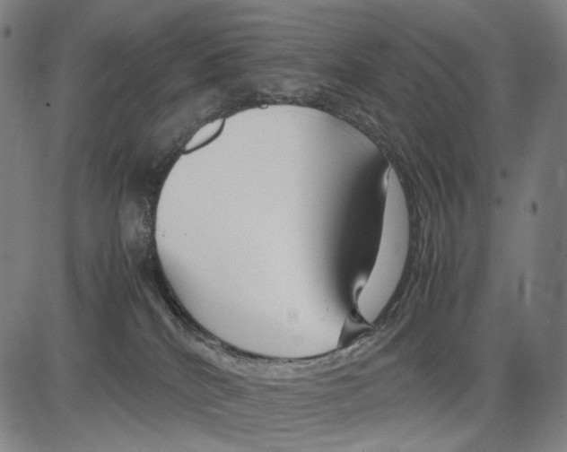 X0000083660040200703121823