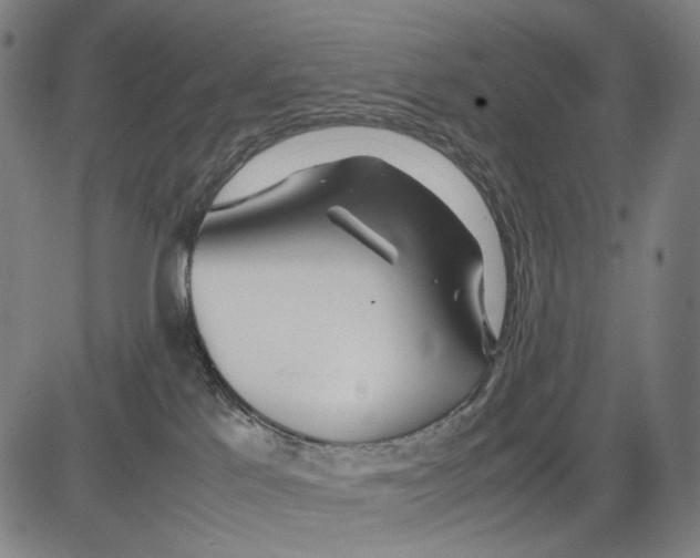 X0000083660041200703121823