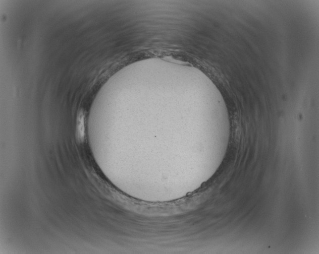 X0000083660042200703121823