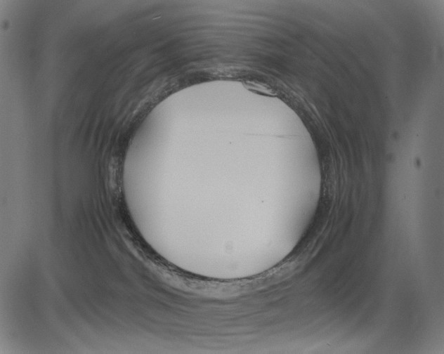 X0000083660044200703121823