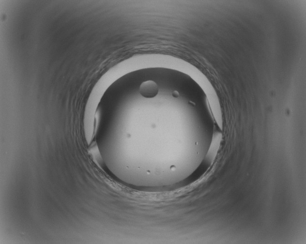 X0000083660045200703121823