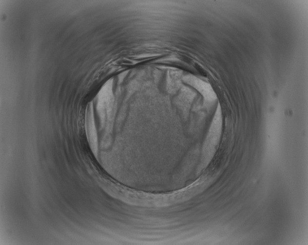 X0000083660048200703121823