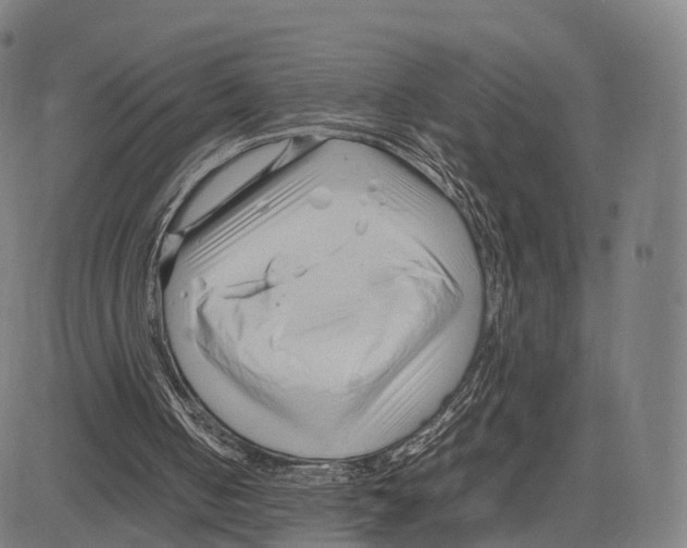 X0000083660050200703121822