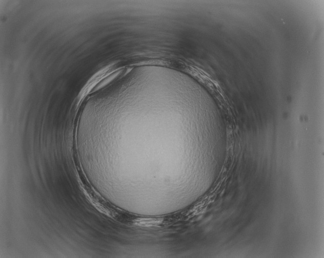 X0000083660051200703121822