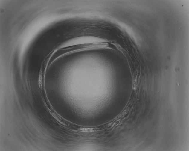 X0000083660052200703121822