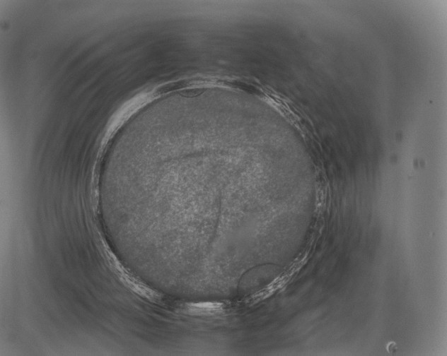 X0000083660053200703121822