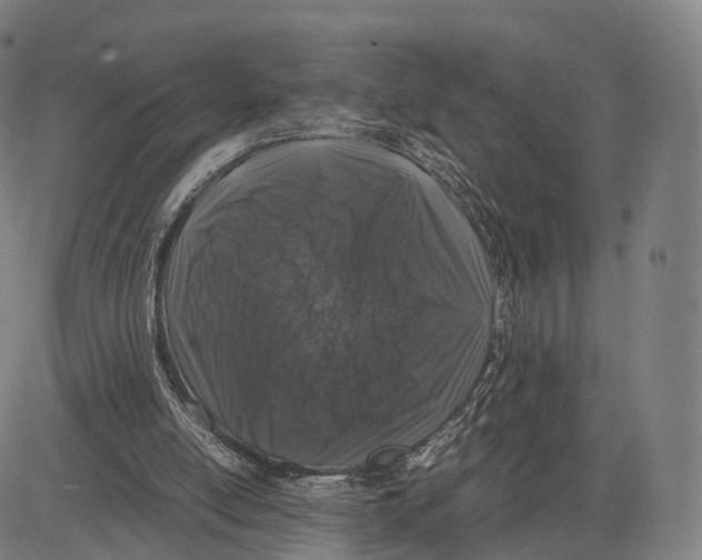 X0000083660054200703121822