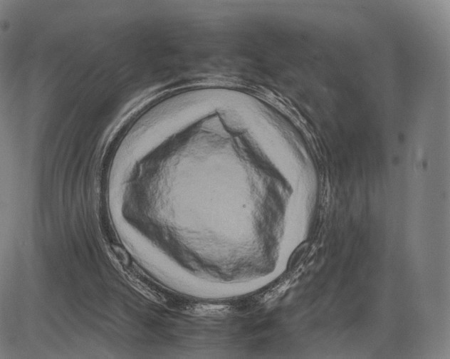 X0000083660055200703121822