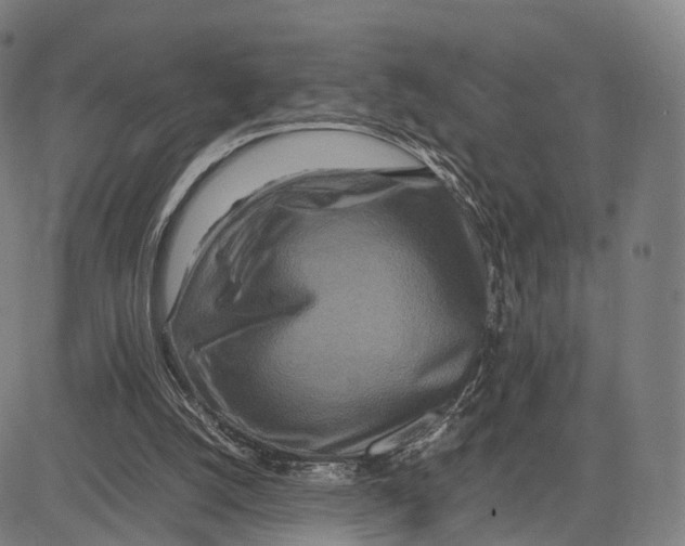 X0000083660056200703121822