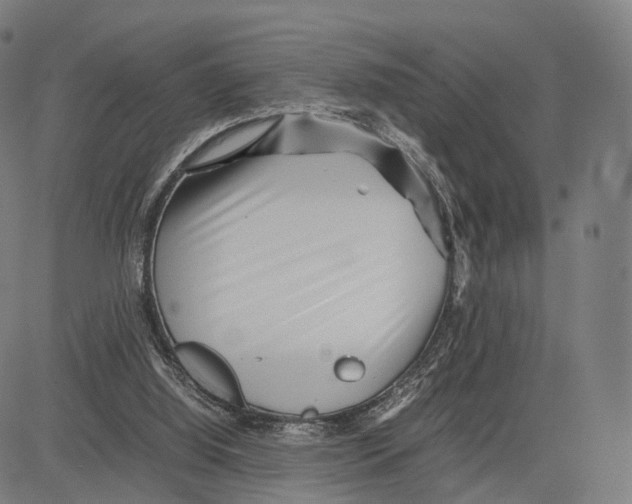 X0000083660060200703121822